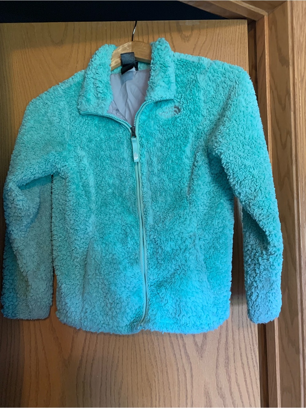 The North Face Kids Plush Full-Zip Jacket - Aqua Teal